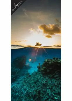 Will And Wind Myrmidon Microfibre Towel