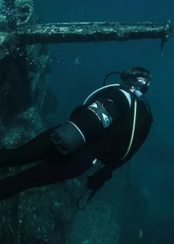 Shark Eyes Tank Cover -Wetsuit Shop shark eyes tank cover 2