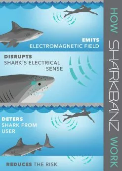 Sharkbanz 2.0 Shark Deterrent Band - Marine/Slate -Wetsuit Shop sharkbanz product infographic bdb284ef 714b 496c 8ef4 1fa0aadf7db3